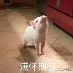 手机微信更新,手机微信更新重磅功能