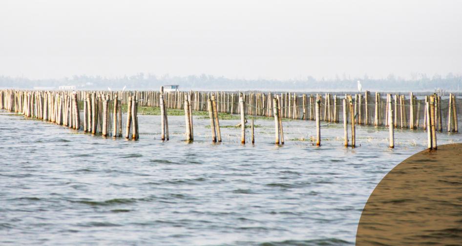 谢蟹有你肉蟹煲优惠券,谢谢有你完整视频