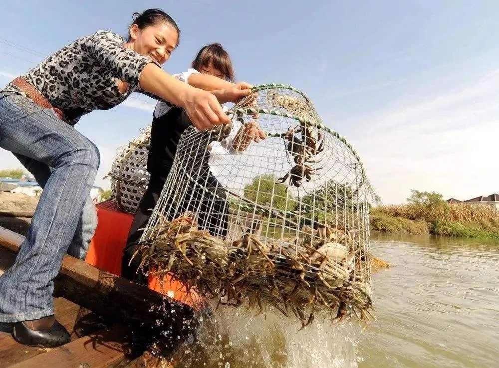 谢蟹有你肉蟹煲优惠券,谢谢有你完整视频
