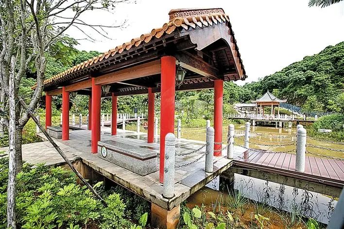 深圳宝安区西乡大道改造,宝安40年蝶变