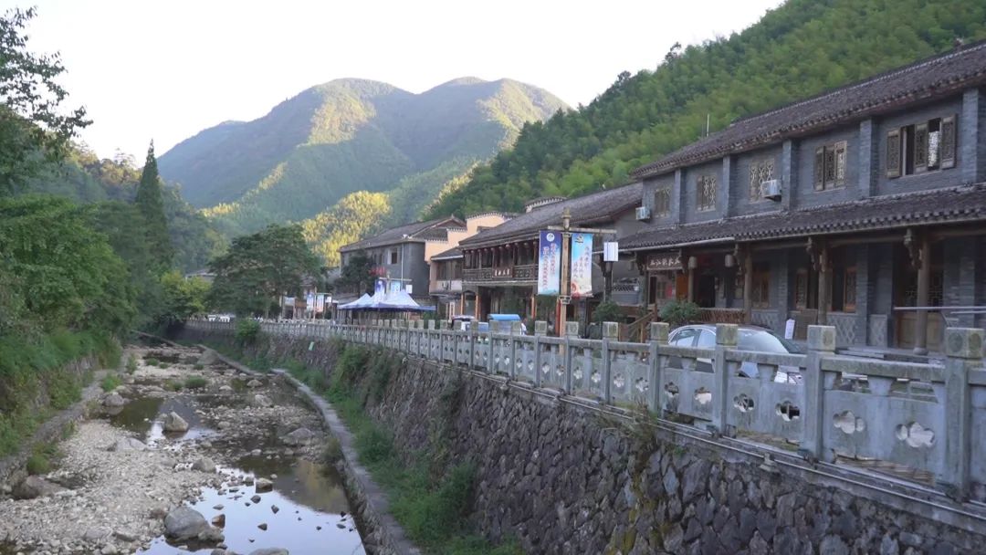 背靠梨树致富案例,背靠大树赚钱