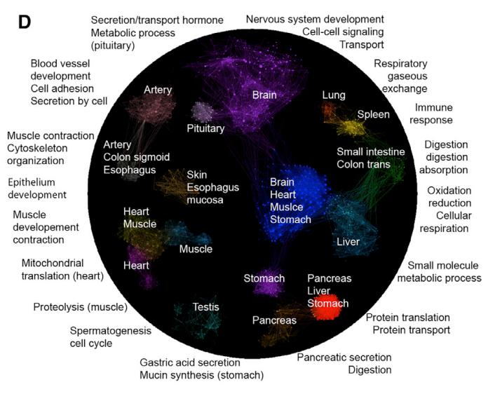 《科学》封面重磅：人类遗传学研究迎来又一重大里程碑！GTEx计划终极一剑，人类基因调控图谱徐徐展开丨科学大发现