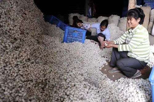 真丝为啥不流行了,真丝为什么有的价位便宜