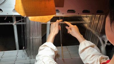 真丝为啥不流行了,真丝为什么有的价位便宜