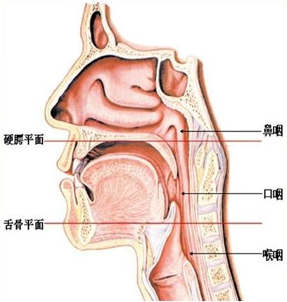 麻麻，核算采样到底痛不痛？