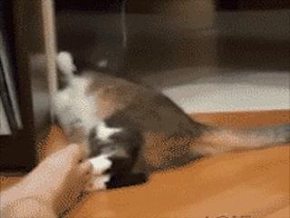 棉拖鞋臭脚臭怎么回事,光脚穿棉拖为什么脚臭脚痒