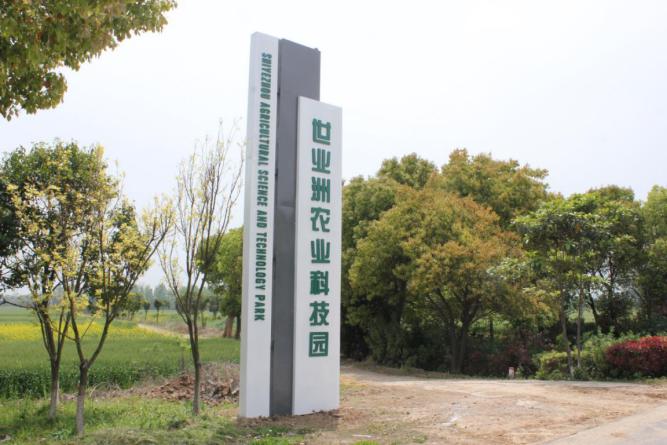 回访代言人共享丰收乐丨泗叶青沙玉米甜入更多人的心头