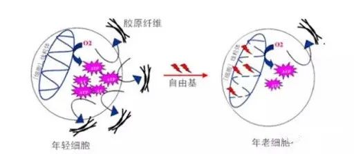 护肤|听说护肤品里TA最冤了