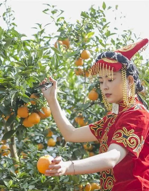 收藏！四川十二月月月hei惊艳