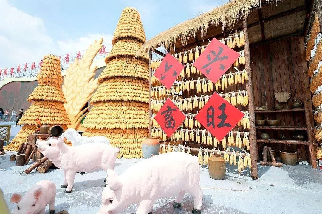 收藏！四川十二月月月hei惊艳