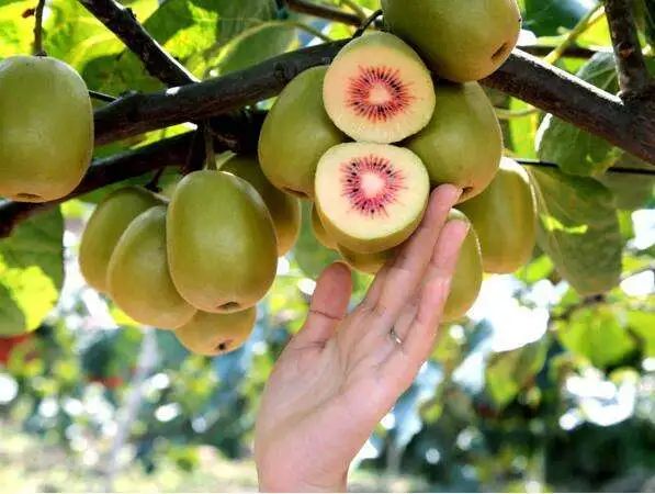 收藏！四川十二月月月hei惊艳