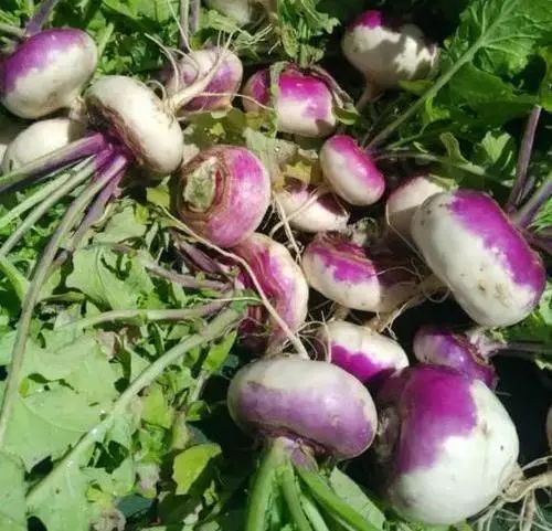 收藏！四川十二月月月hei惊艳