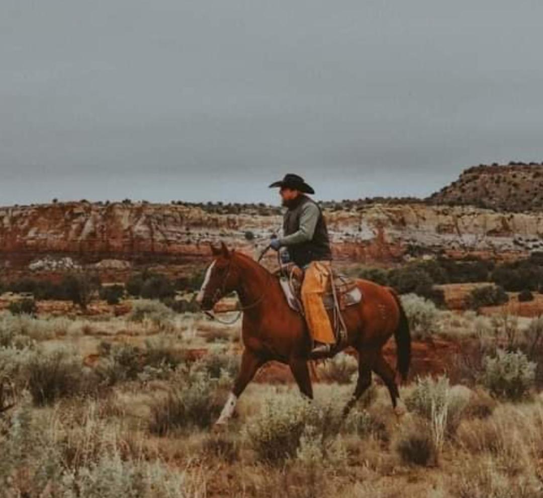 美国最大的地主有多少亩地,美国排名第一的大地主