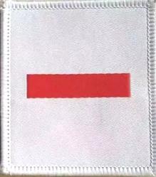 队徽改字,少先队队徽的改变