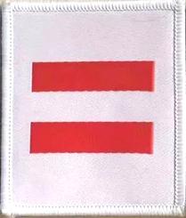 队徽改字,少先队队徽的改变