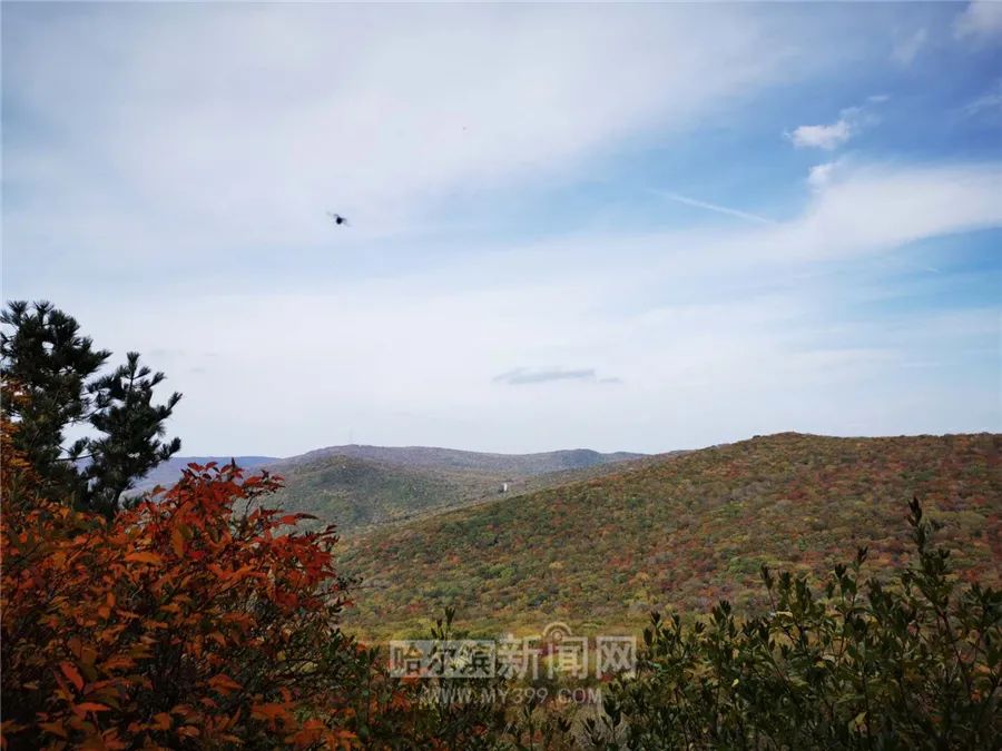 看万山红遍层林尽染全文图片,看万山红遍层林尽染全文朗诵