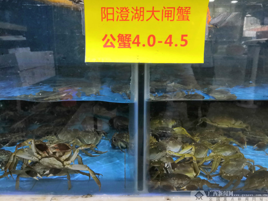 月饼流心大闸蟹,大闸蟹流心黄