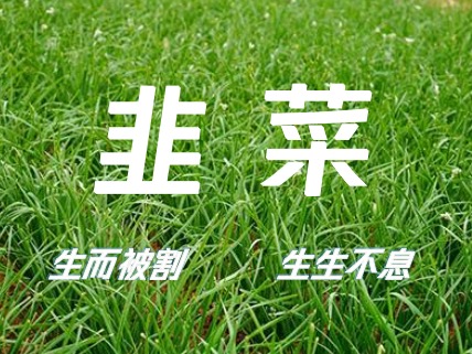 荐股群的各种套路,荐股群是什么套路