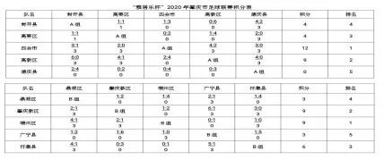 雅居乐足球赛,雅居乐杯冠军