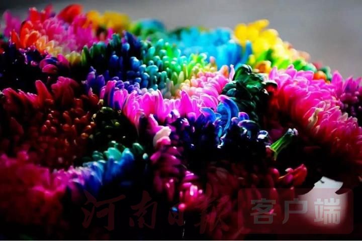 开封国庆节节旅行攻略最新,开封十一旅游攻略