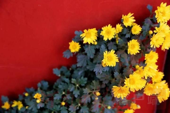 开封国庆节节旅行攻略最新,开封十一旅游攻略