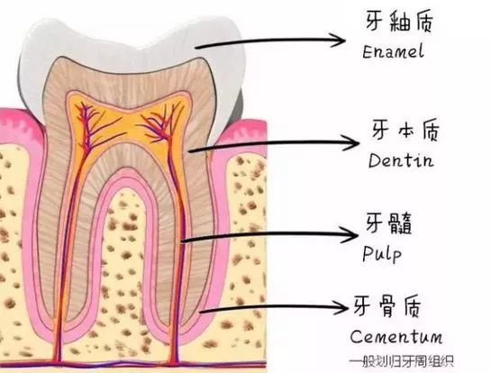 牙齿酸用抗敏感牙膏有效,抗牙本质敏感牙膏