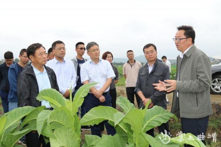 老旧街道重焕荣光,旧街道改造翻新