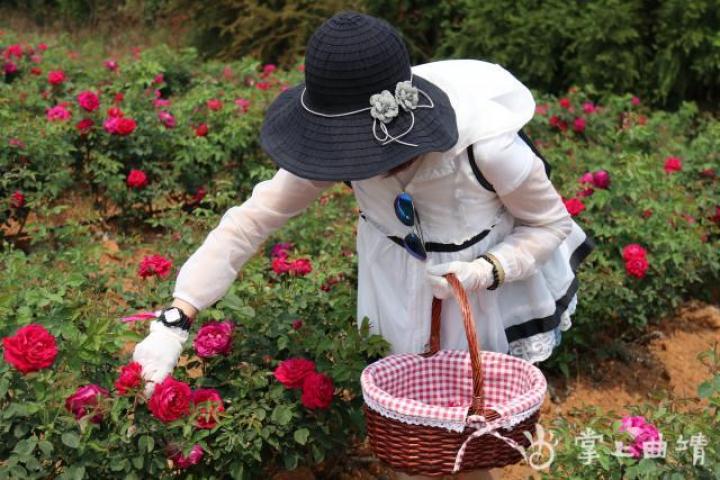 老旧街道重焕荣光,旧街道改造翻新