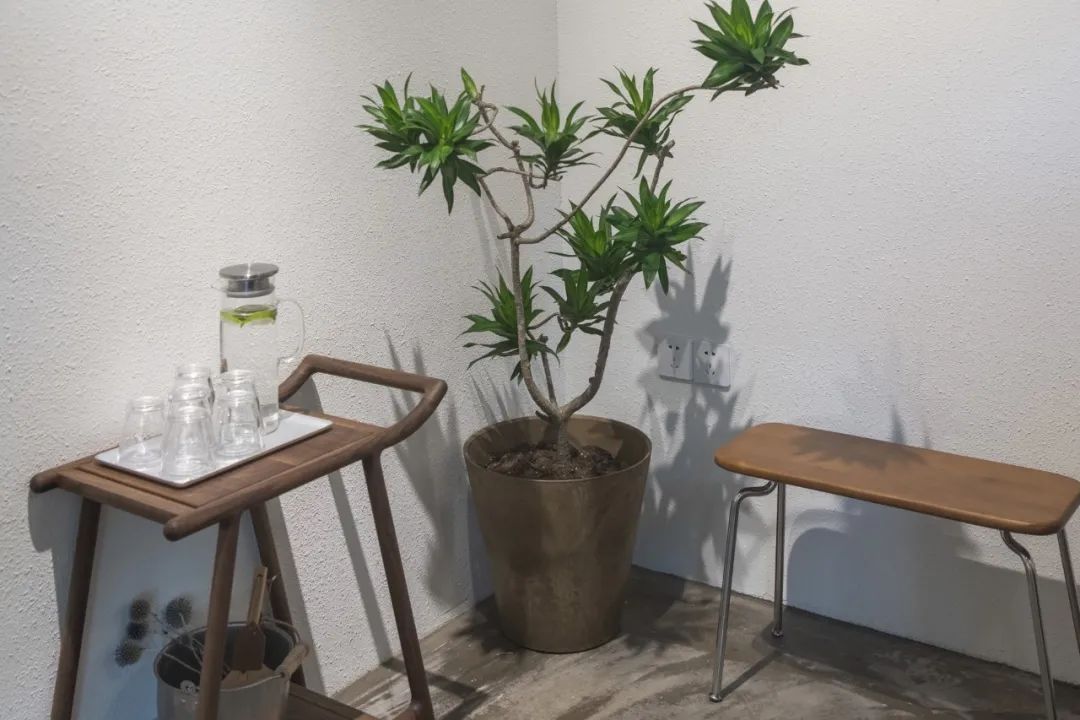 滨江西的新晋甜品店，一对情侣、两只柴犬守护着，超有爱