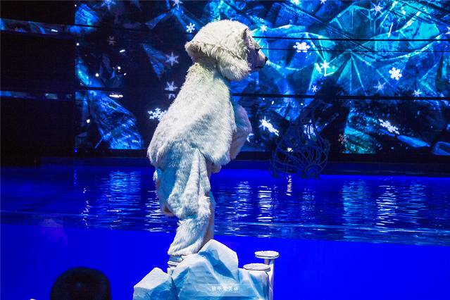 三亚亲子游攻略3-6岁最佳方案,三亚亲子游吃什么