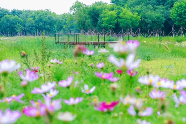 亦庄晚上拍照好去处,北京亦庄旅游景点推荐