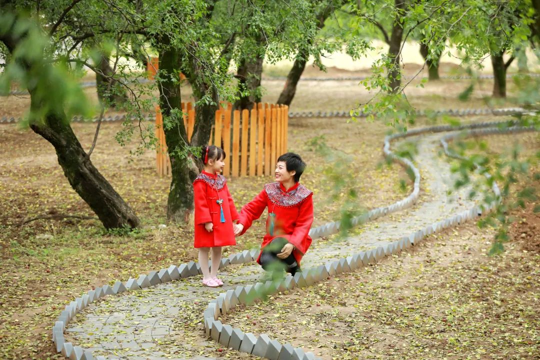 阎良千年枣林的照片,阎良千年枣林老照片