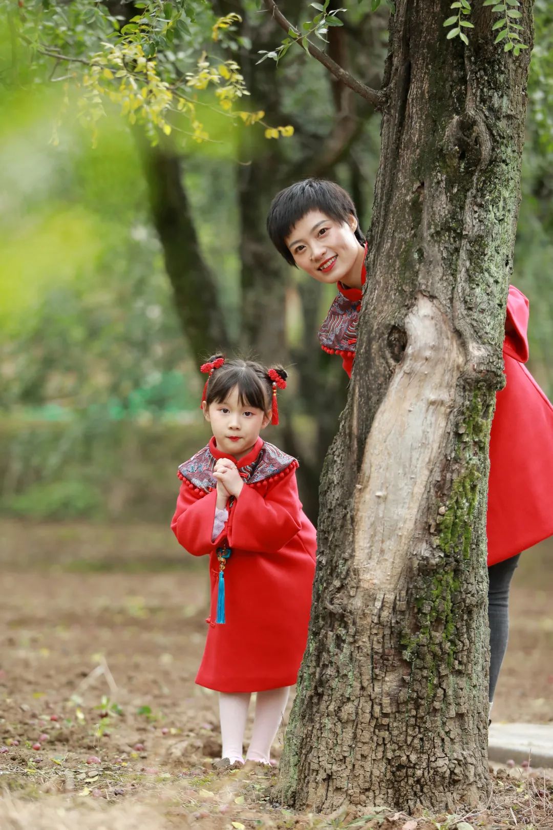 阎良千年枣林的照片,阎良千年枣林老照片