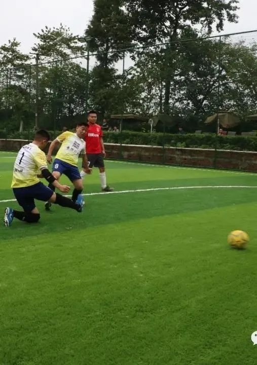 青白江美景,青白江风景美景