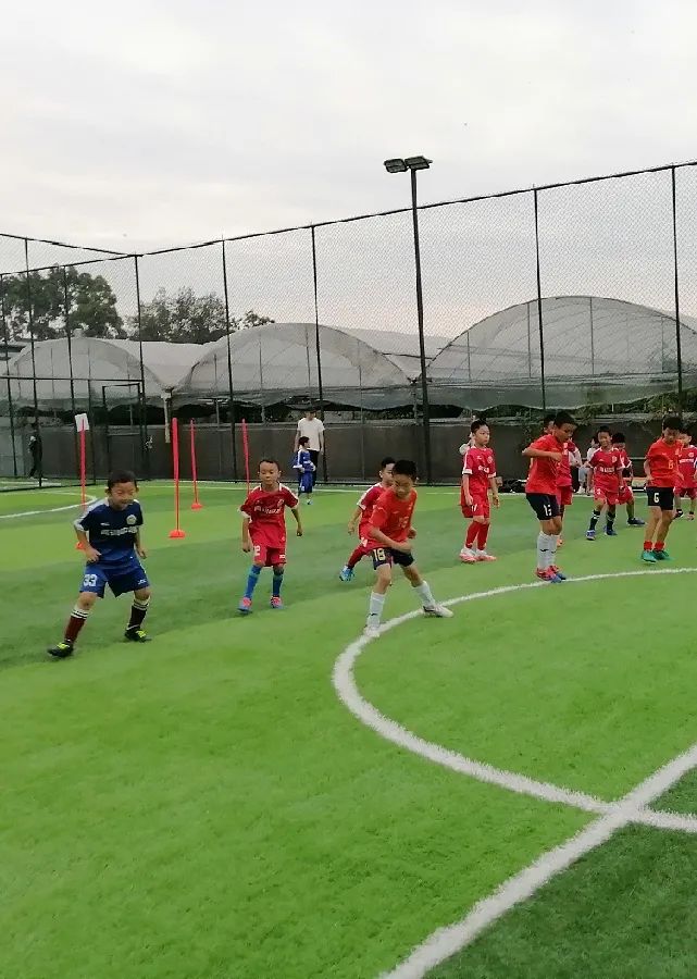 青白江美景,青白江风景美景