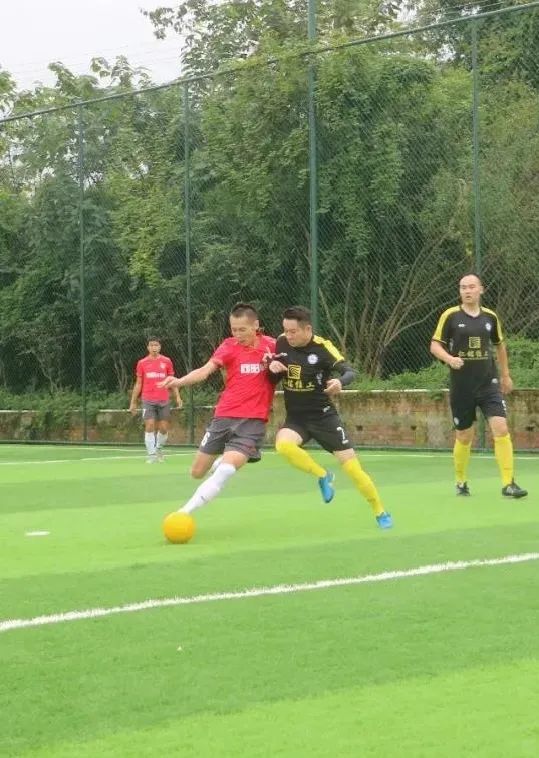 青白江美景,青白江风景美景