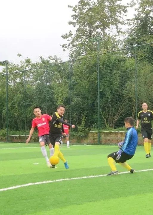 青白江美景,青白江风景美景