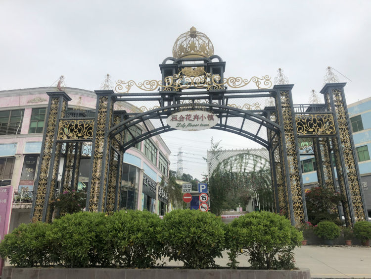 深圳最大花卉市场在哪里,深圳最大的花卉市场在哪里