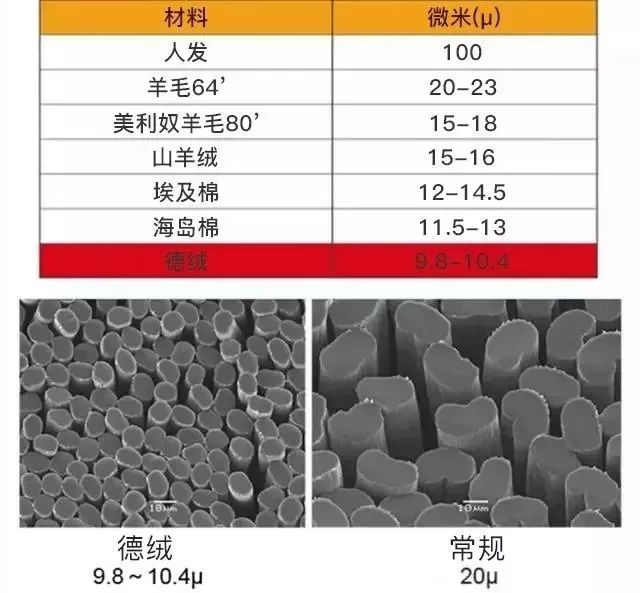 德国保暖衣界的劳斯莱斯！德绒“自发热”36.8℃恒温内衣！让你在寒风刺骨的冬日也风度翩翩