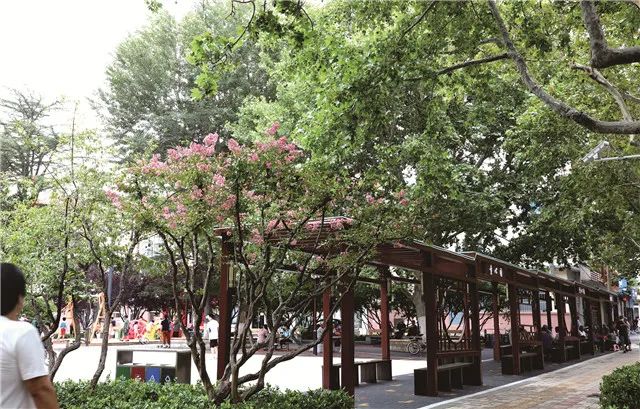 「双节乐游」假期里的新去处！送你一份威海“口袋公园”免费游攻略