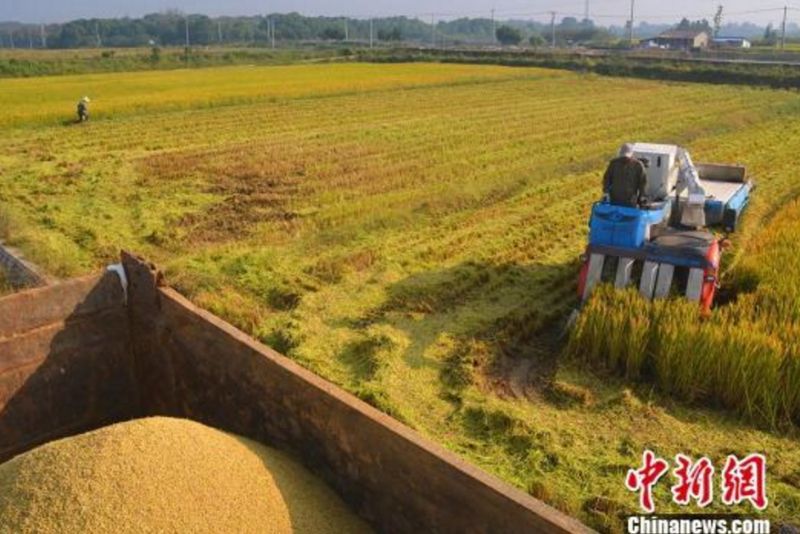 瀵掗湶鐧婚珮璧忕,鍚冭瀮锜圭櫥楂樿祻瀵掗湶