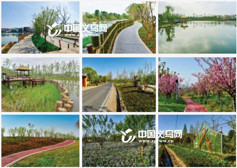 特点小镇、轻轨站、文化村……义乌这个镇有点“甜”！