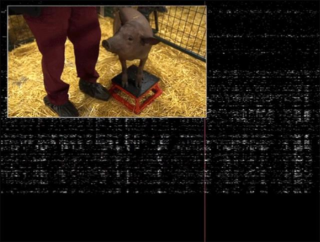 火星争霸航海时代,火星大航海时代