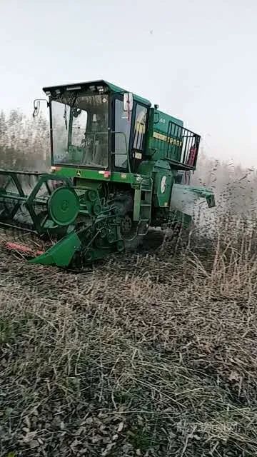 走进我们的幸福小康丨刘文君：一颗“创业心”开拓全村致富路