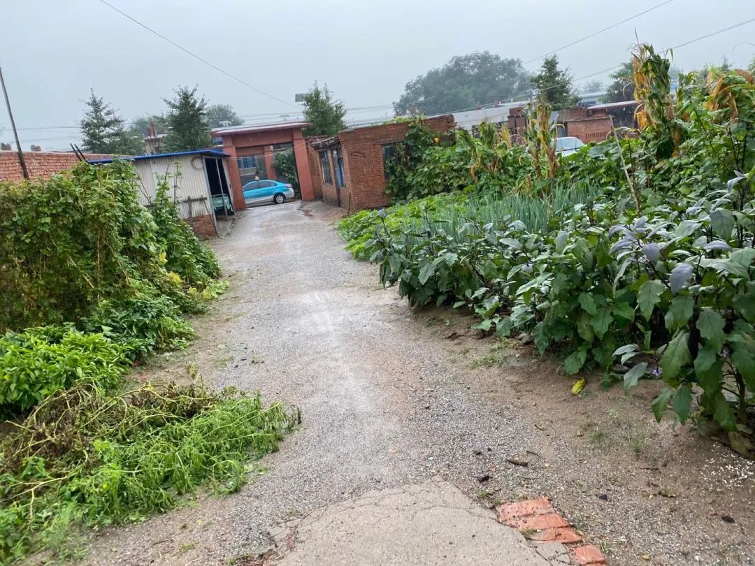 “女副局长”的“局”：安排工作为名骗夫家亲友数百万