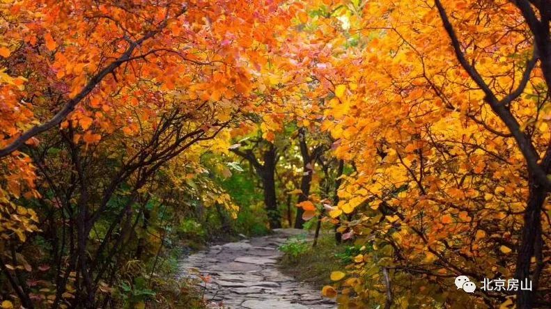 绉嬪ぉ鏉ヨ繖閲岃祻绾㈠彾,鏉ヨ繖閲屼竴璧疯祻绾㈠彾