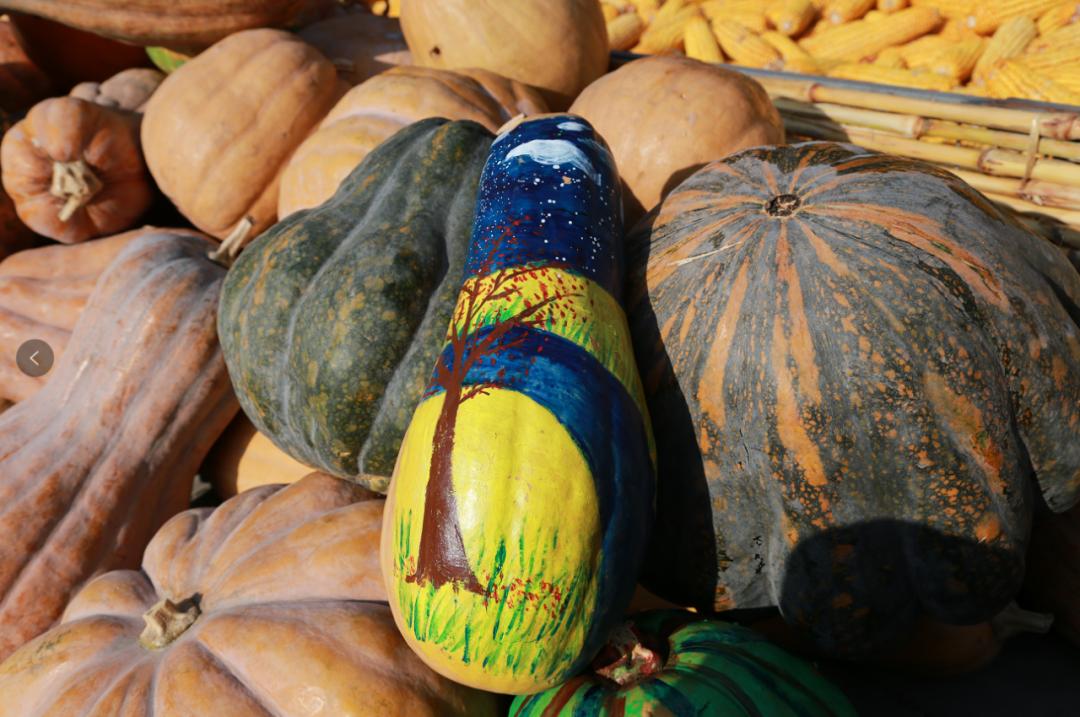 绉嬪ぉ鏉ヨ繖閲岃祻绾㈠彾,鏉ヨ繖閲屼竴璧疯祻绾㈠彾