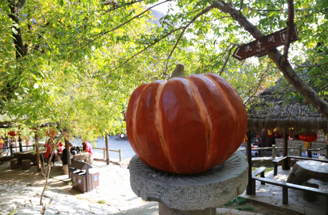 绉嬪ぉ鏉ヨ繖閲岃祻绾㈠彾,鏉ヨ繖閲屼竴璧疯祻绾㈠彾