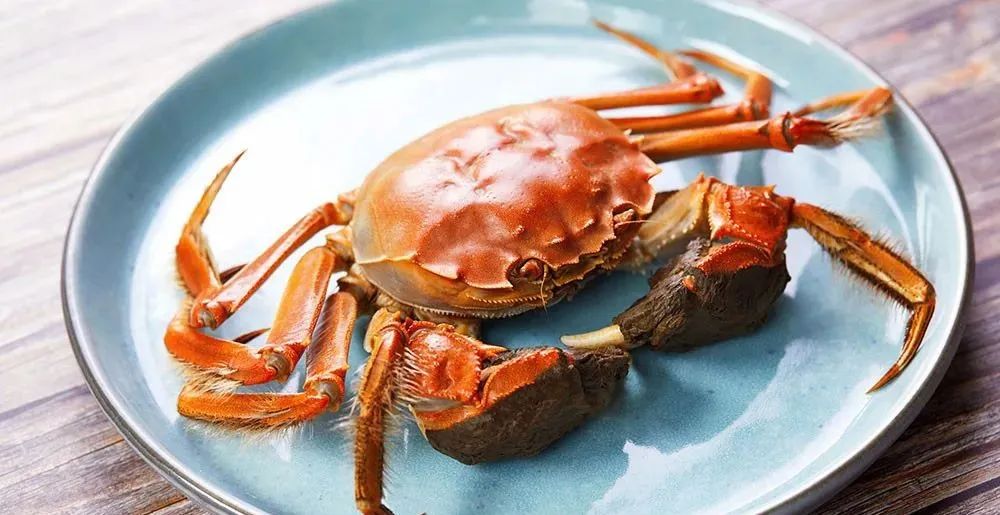 保存螃蟹不要直接放冰箱,螃蟹怎么放保存时间能长一点