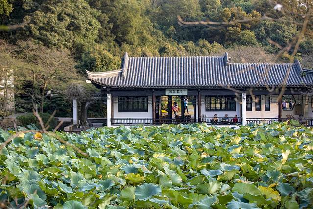 多情秋日相约无锡，太湖畔的浪漫与情愫